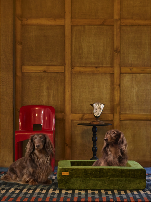 Fancy Haboo Nuzzle  Pet Bed